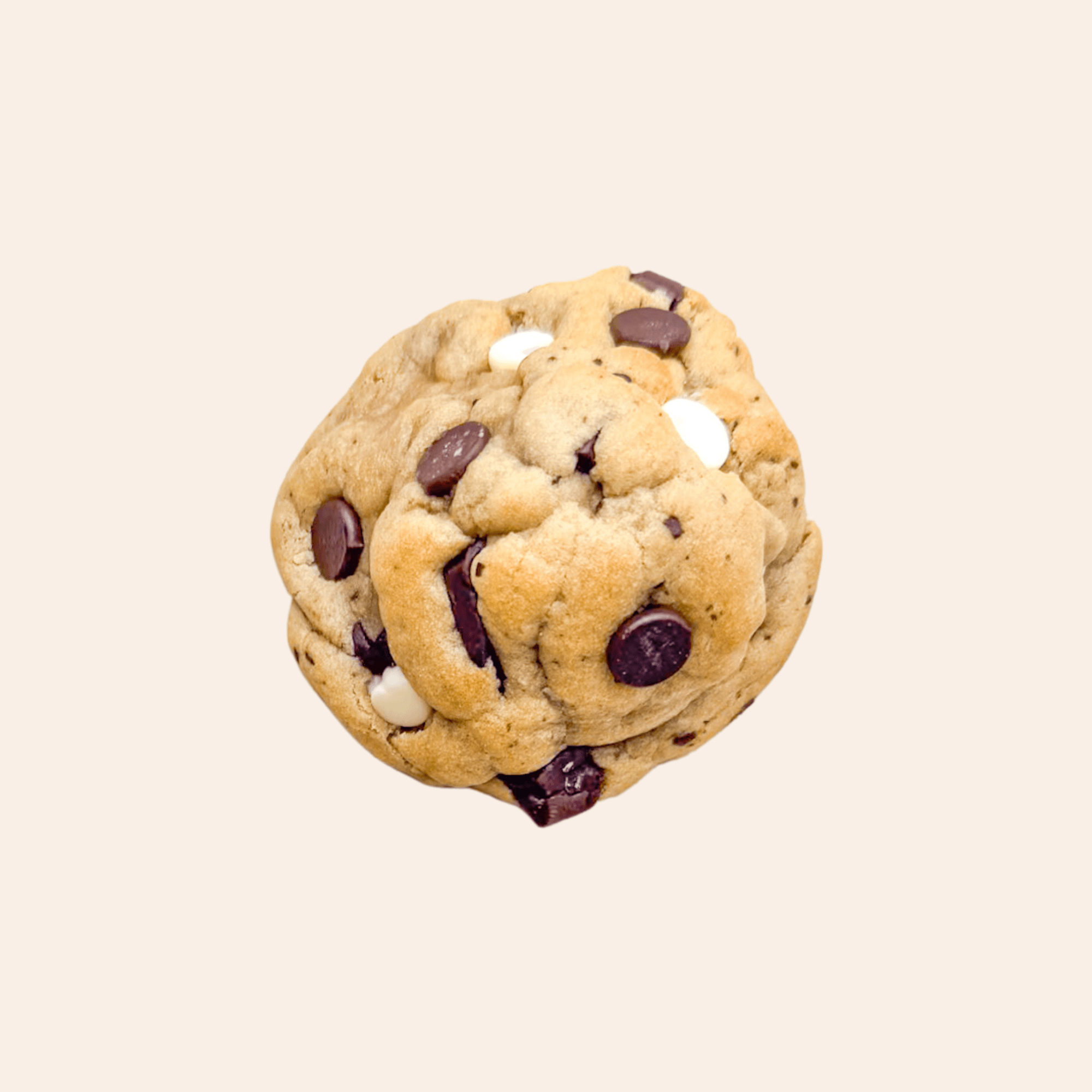 Chocolate Chip